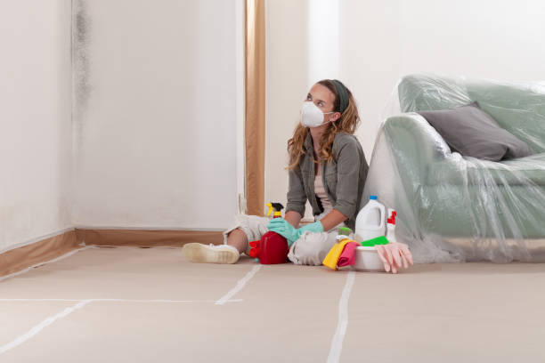 Trusted Mold Removal service in Renton, WA - WQB Mold Removal